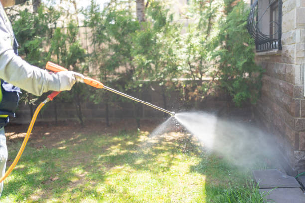 Best Bird Control  in Racine, WI