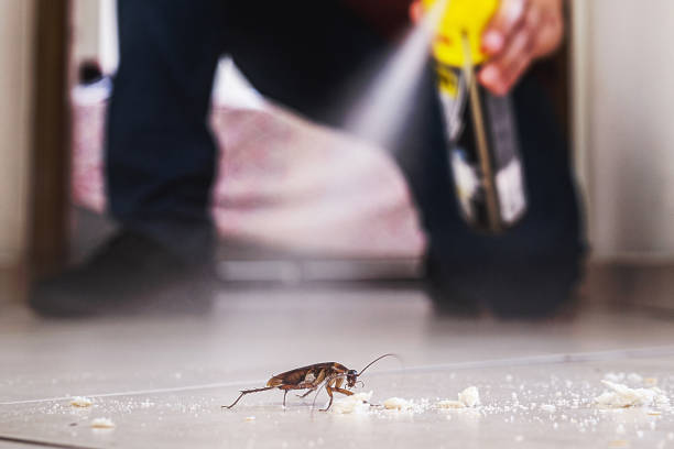 Best Wildlife Control Services  in Racine, WI
